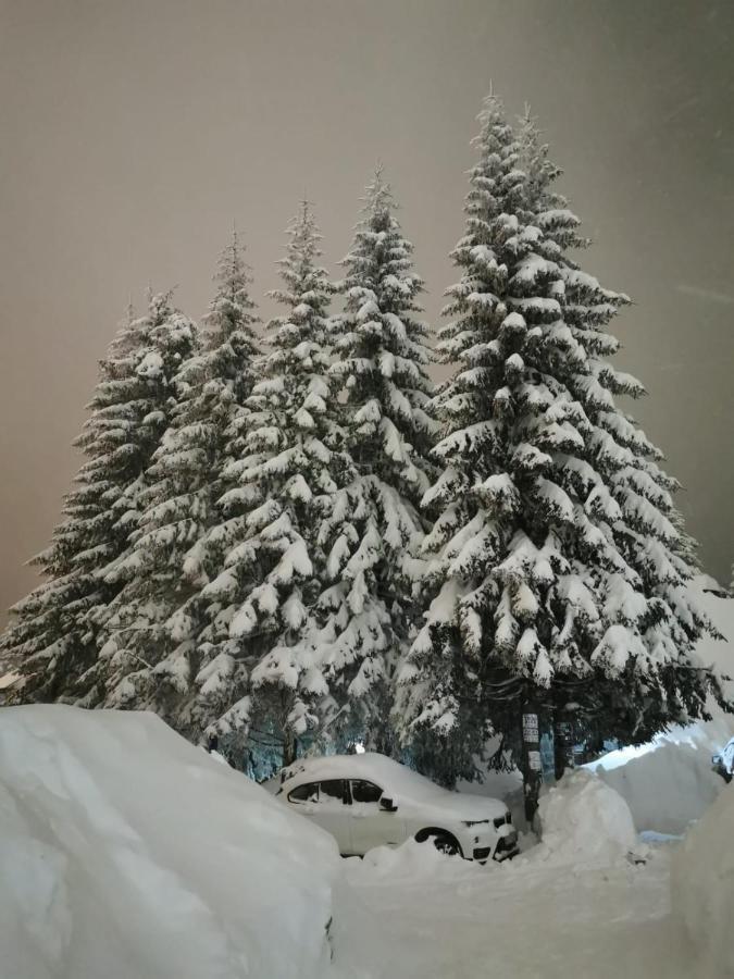 Apartments Zed Vila Zvoncica Kopaonik Dış mekan fotoğraf