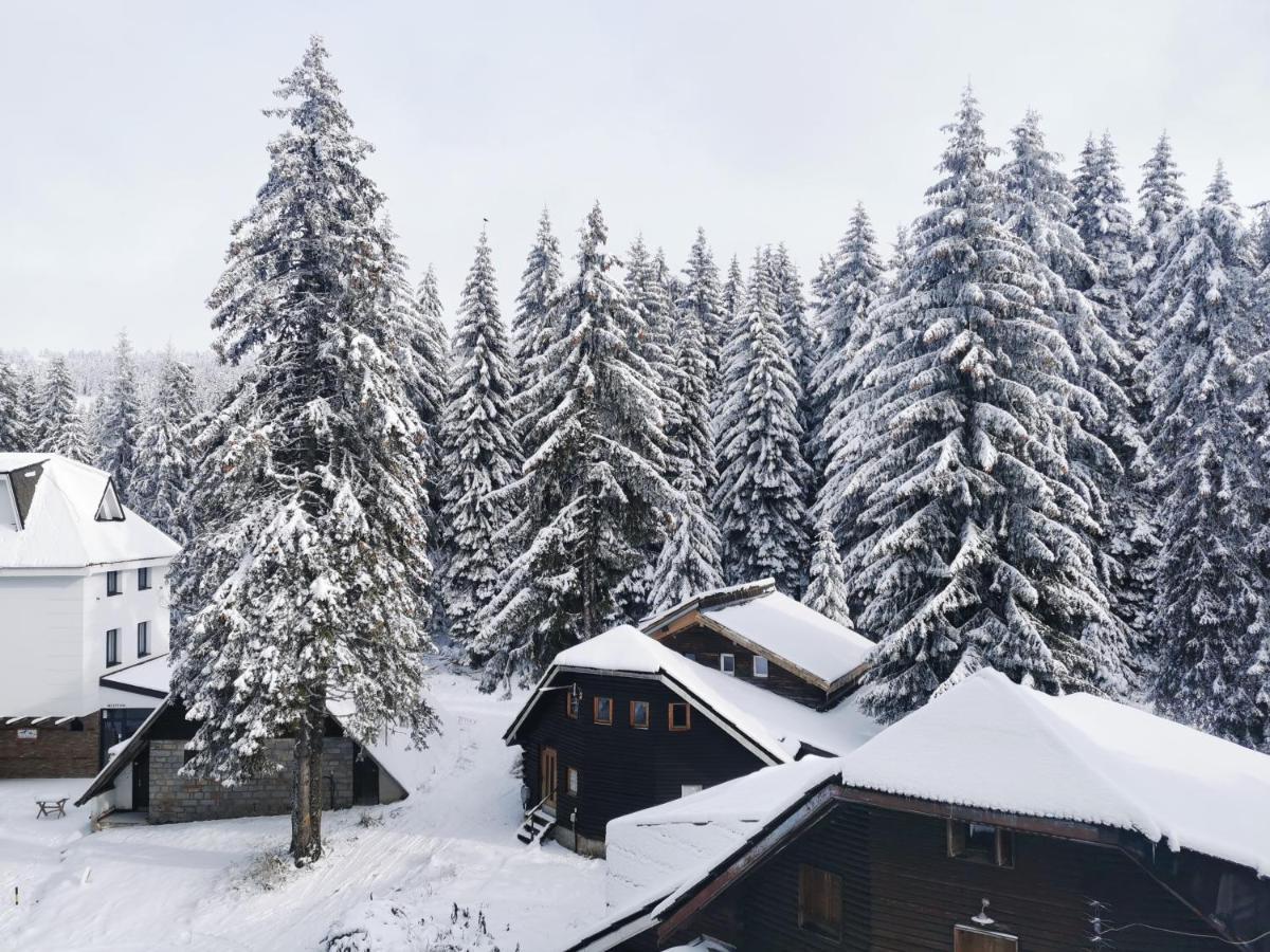Apartments Zed Vila Zvoncica Kopaonik Dış mekan fotoğraf