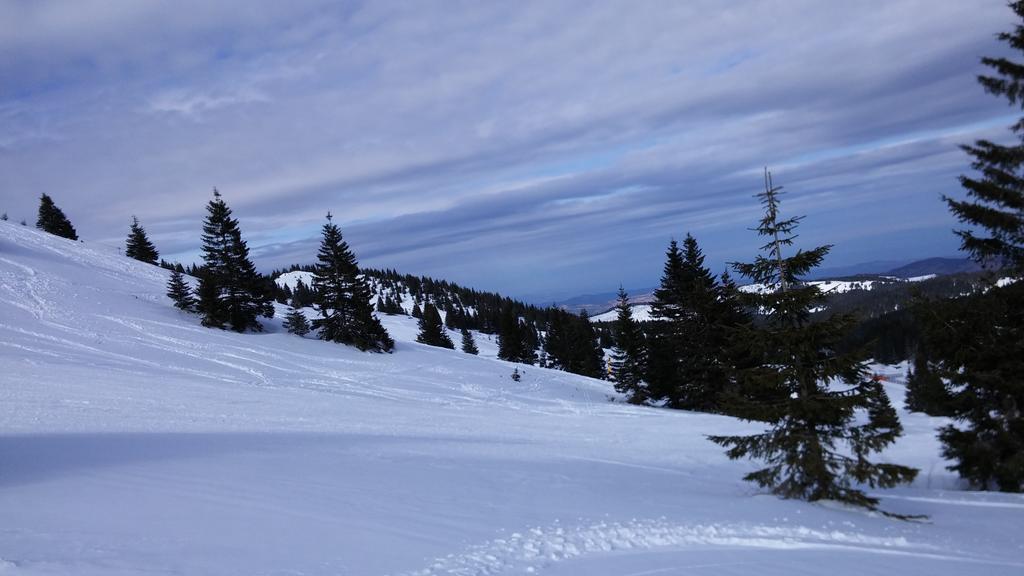 Apartments Zed Vila Zvoncica Kopaonik Dış mekan fotoğraf