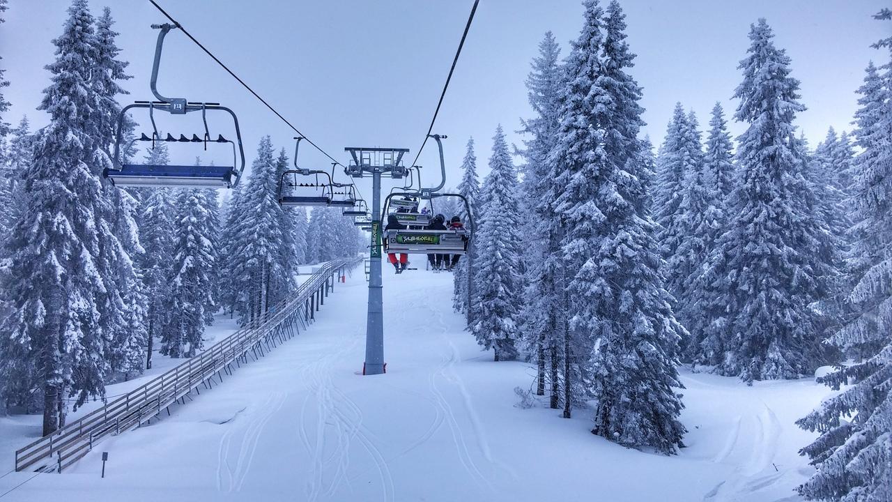 Apartments Zed Vila Zvoncica Kopaonik Dış mekan fotoğraf