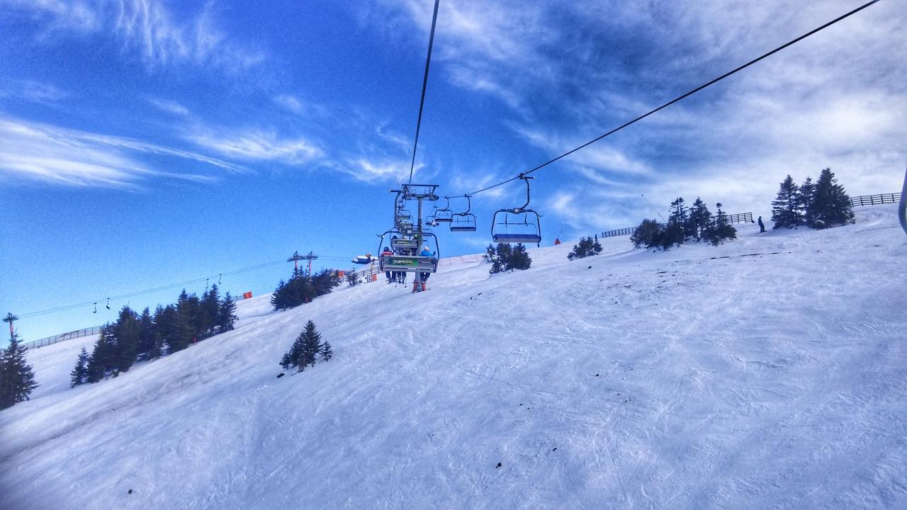 Apartments Zed Vila Zvoncica Kopaonik Dış mekan fotoğraf