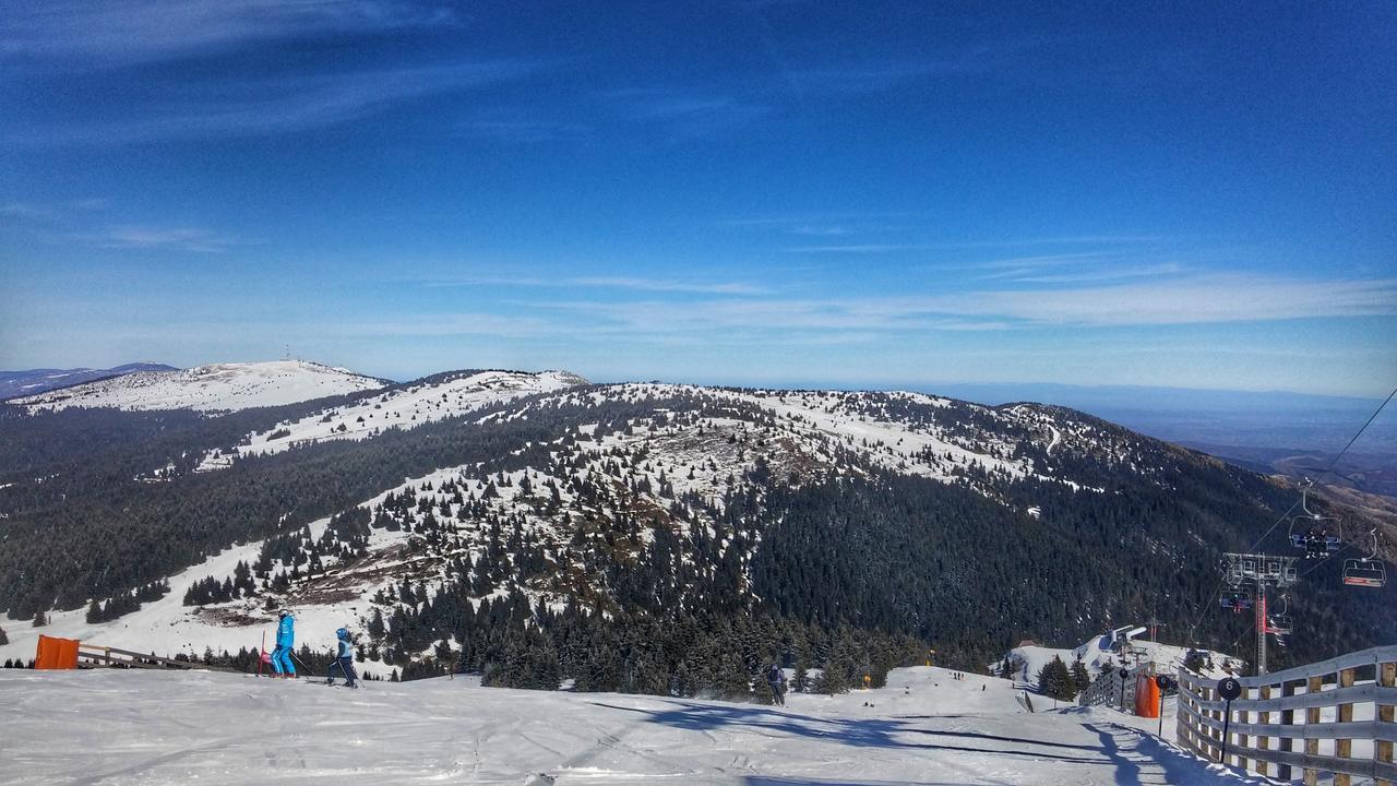 Apartments Zed Vila Zvoncica Kopaonik Dış mekan fotoğraf