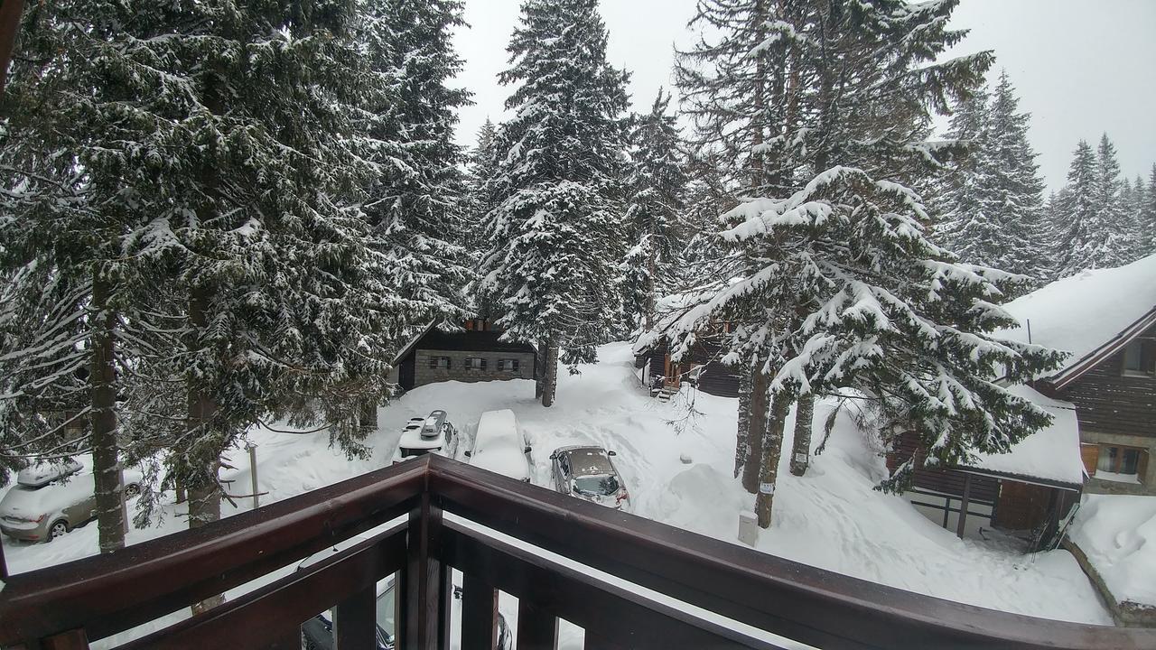 Apartments Zed Vila Zvoncica Kopaonik Dış mekan fotoğraf