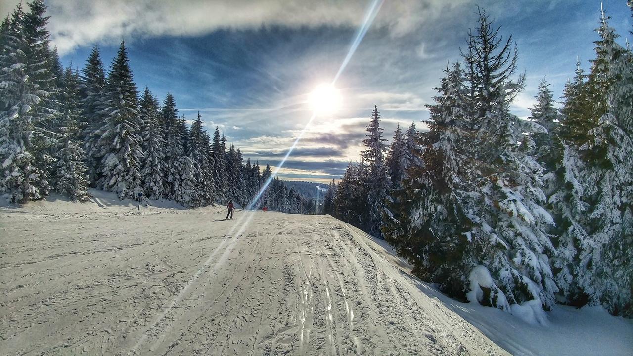 Apartments Zed Vila Zvoncica Kopaonik Dış mekan fotoğraf
